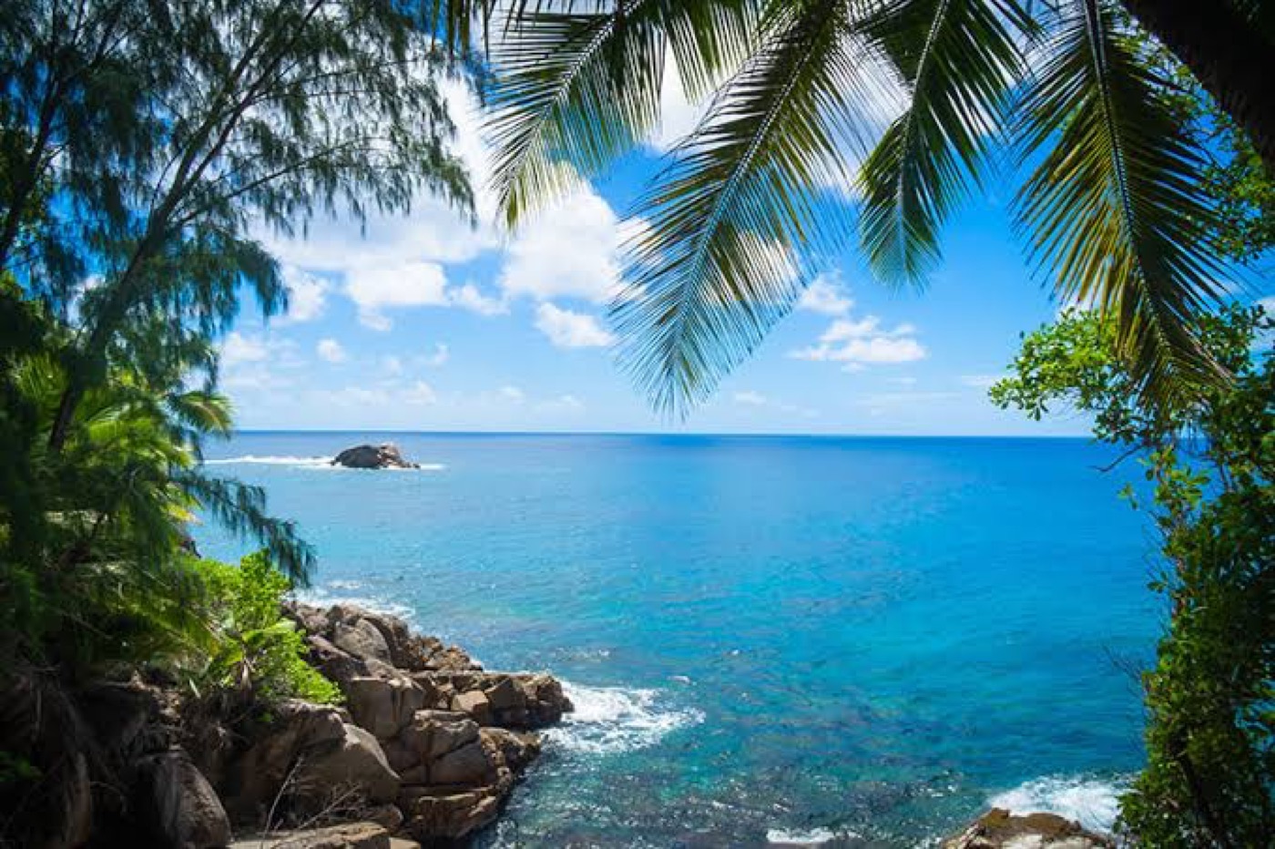 A secluded turquoise cove framed by palms